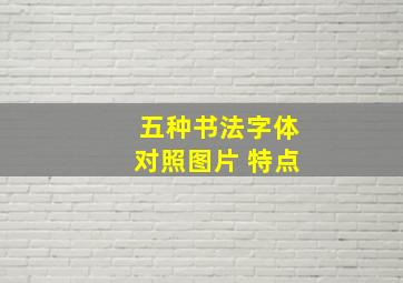 五种书法字体对照图片 特点